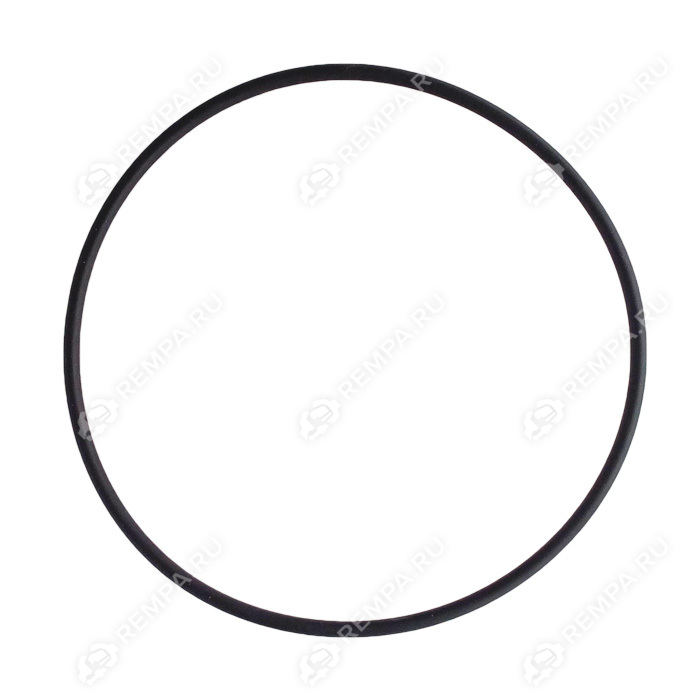 Уплотнительное кольцо 02.5678.00.00 (Ø100x3 мм)